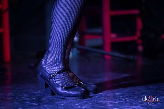 Authentic flamenco show. Alegria and gastronomy Malaga - Sound and Visual Aspects