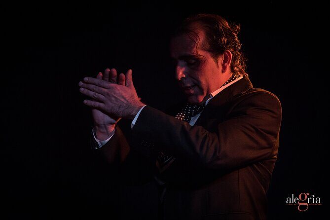 Authentic flamenco show. Alegria and gastronomy Malaga - Overall Value and What You Get