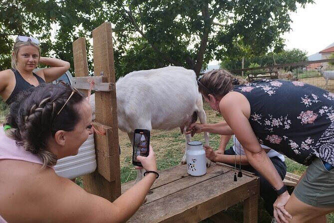 Authentic Garden to Table Cooking Class in Dubrovnik Countryside - The Sum Up