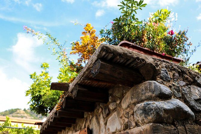 Authentic Gourmet Tour with Wine and Food Tasting from Paphos - Who Is This Tour Best Suited For?