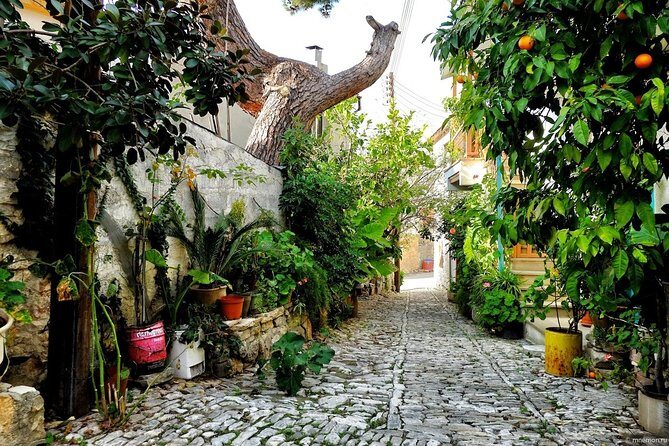 Authentic Gourmet Tour with Wine and Food Tasting from Paphos - Final Thoughts