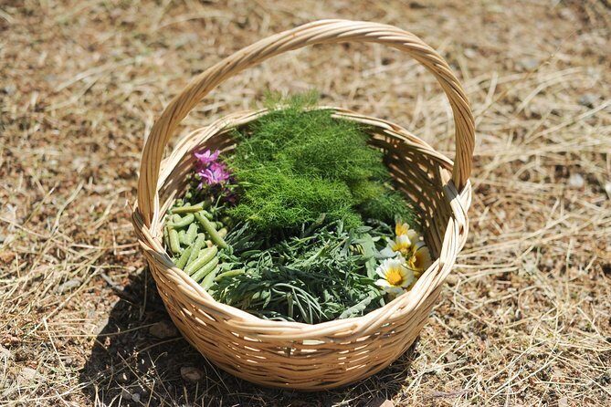 Authentic Greek Cooking & Foraging Experience in Syros with Maria - Why This Tour Stands Out