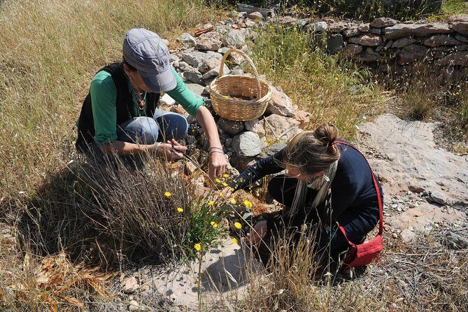 Authentic Greek Cooking & Foraging Experience in Syros with Maria - FAQs