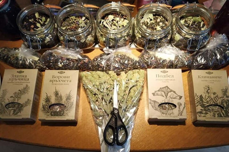 Authentic Homemade Bulgarian Dessert Tasting in Sofia - Who Will Love This Experience?