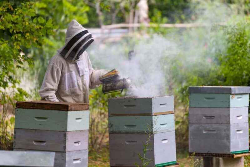 Authentic Kefalonia: Honey, OliveOil & Farm-to-Table Cooking - Logistics and Practical Details