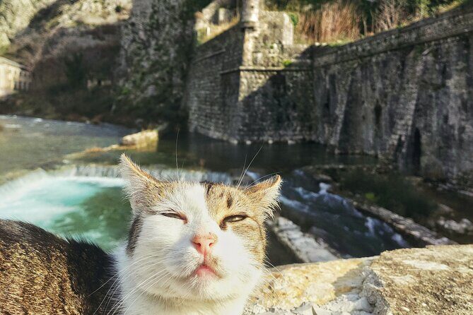 Authentic Kotor Old Town Walking Tour - What Makes This Tour Stand Out?
