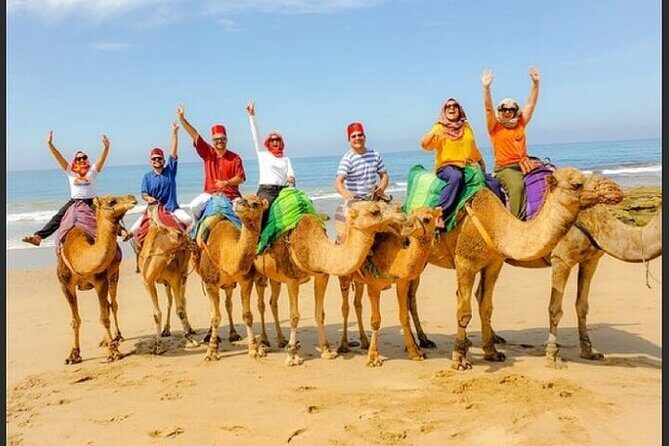 Authentic Private Tangier Tour from Cadiz Camel Ride & Lunch - Cultural and Urban Exploration