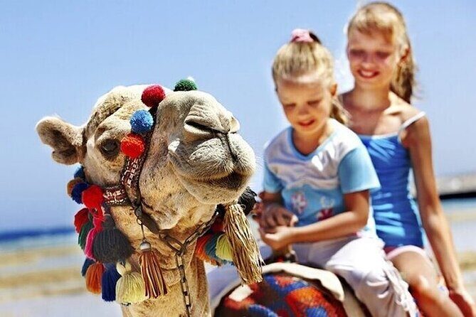Authentic Private Tangier Tour from Estepona Camel Ride & Lunch - The Journey Begins: From Spain to Morocco
