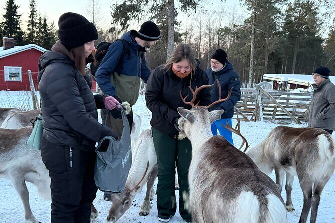 Authentic Reindeer Experience and Ice Fish with Lunch in the Wild - Is This Tour Right for You?