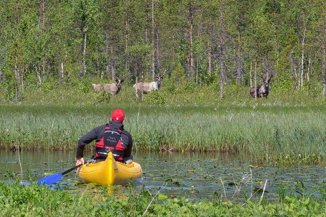 Authentic Reindeer Farm and Canoe Experience from Rovaniemi. - A Closer Look at the Tour Experience
