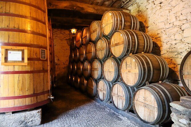 Authentic Small Group Douro Wine Tour with Lunch & River Cruise - Final Thoughts