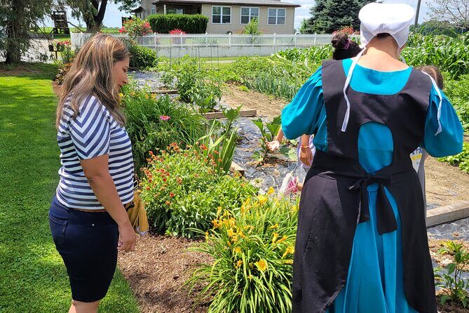 Authentic Tour & Meal with the Amish! - Real Guest Experiences