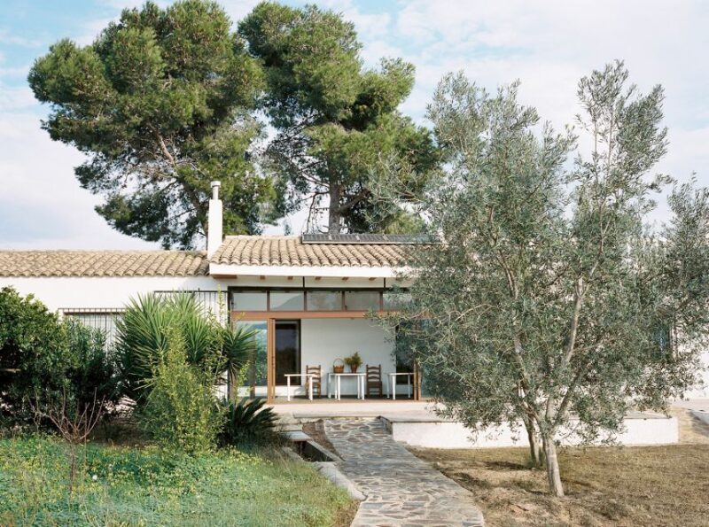 Authentic Valencian Paella Cooking Class - The Real Benefits: Why Choose This Tour?