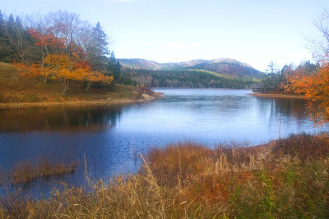 Autumn in Acadia National Park Private Leaf Peeper Driving Tour - Value for Money