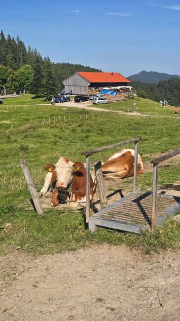 Autumnal Prince's Trail: From Lake Tegernsee to Lake Schliersee with a snack - What’s the Value for Travelers?