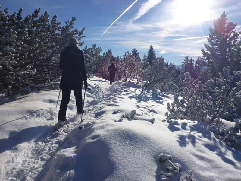 Avalanche training with snowshoe hike in Berchtesgaden - The Route and Experience