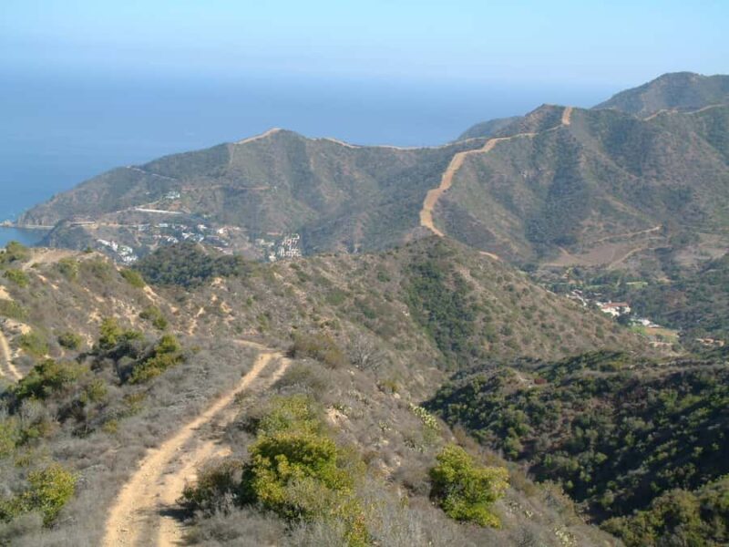 Avalon, Catalina Island: 2-Hour Inside Adventure Tour - What Past Travelers Say