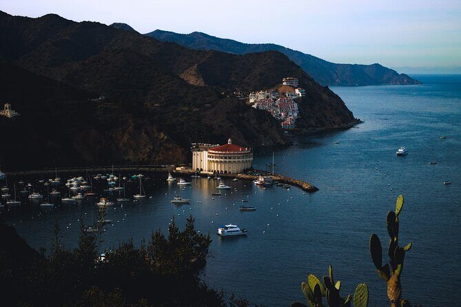 Avalon on Foot Self-Guided Audio Tour of Catalina Island - Who Is This Tour Best For?