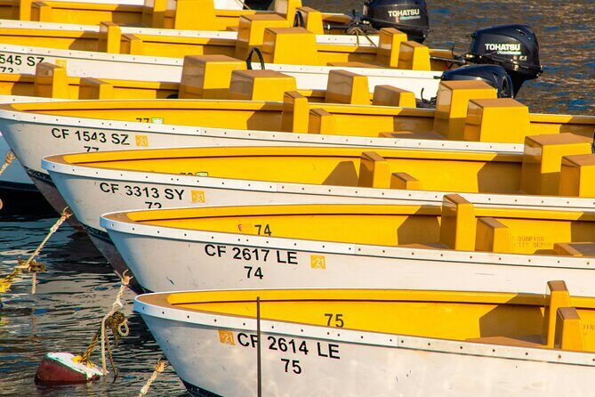 Avalon on Foot Self-Guided Audio Tour of Catalina Island - FAQ