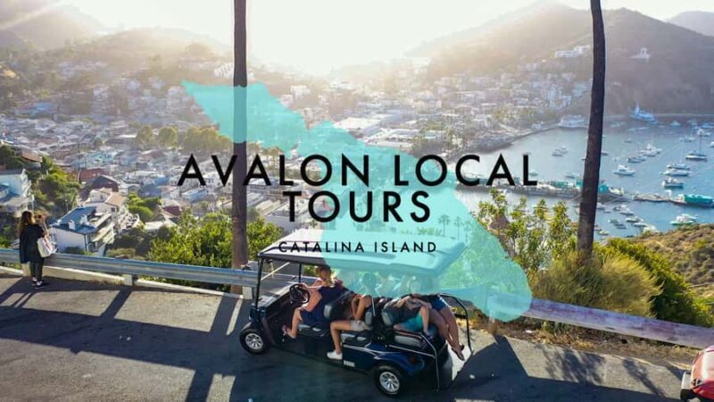 Avalon: Private Golf Cart Tour with Driver-Guide - Key Points