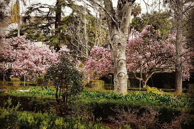 Aveiro and Coimbra Private Tour From Porto - Final Thoughts