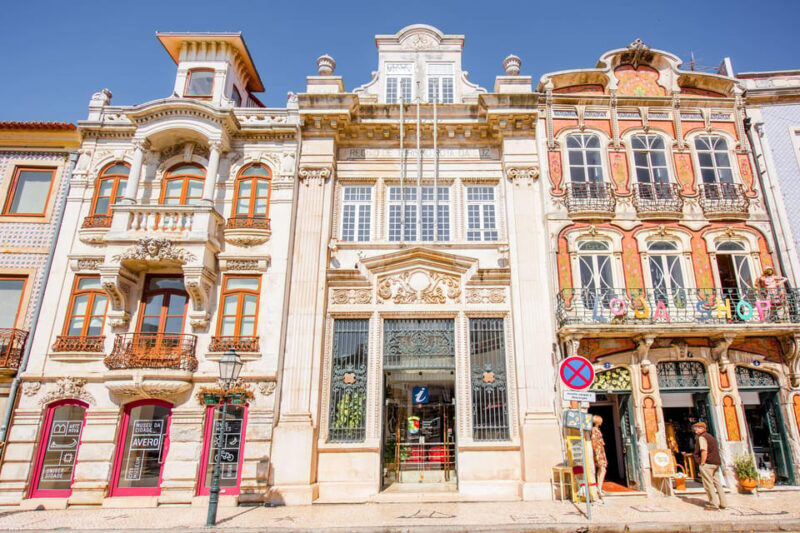 Aveiro and Costa Nova Half Day Tour with Cruise from Porto - The Experience: What You Get During the Tour