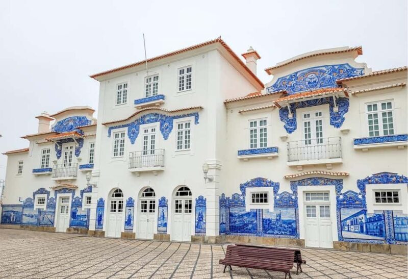 Aveiro City Tour: Private day trip with tickets included. - Who Is This Tour Best Suited For?