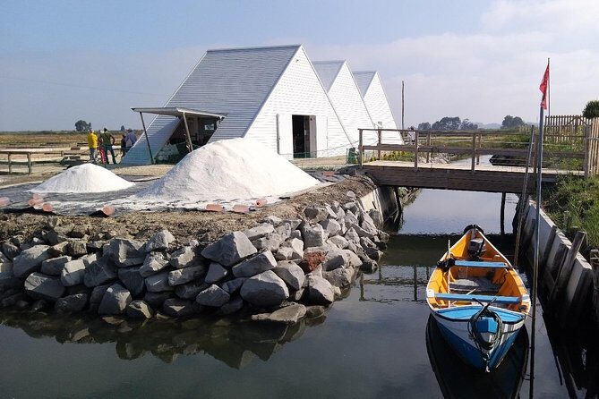 Aveiro & Costa Nova Private Tour  Canals & Striped Houses - Who Is This Tour Best For?