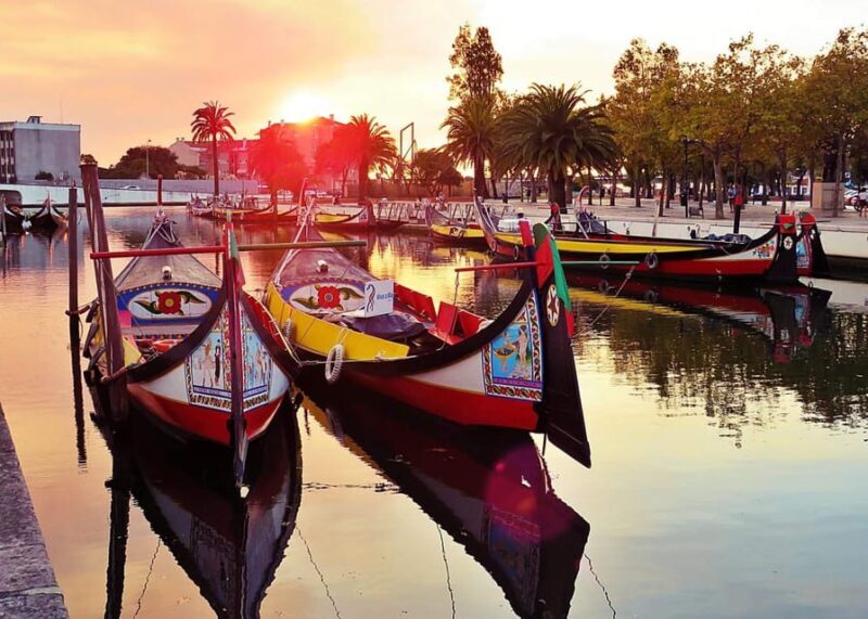 AVEIRO E COSTA NOVA: Private Full-Day Tour w/Boat from Porto - Key Points