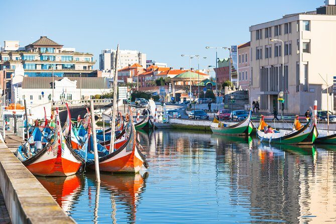 Aveiro Half Day Private Tour Porto w/ Moliceiro River Cruise - What to Expect from the Tour