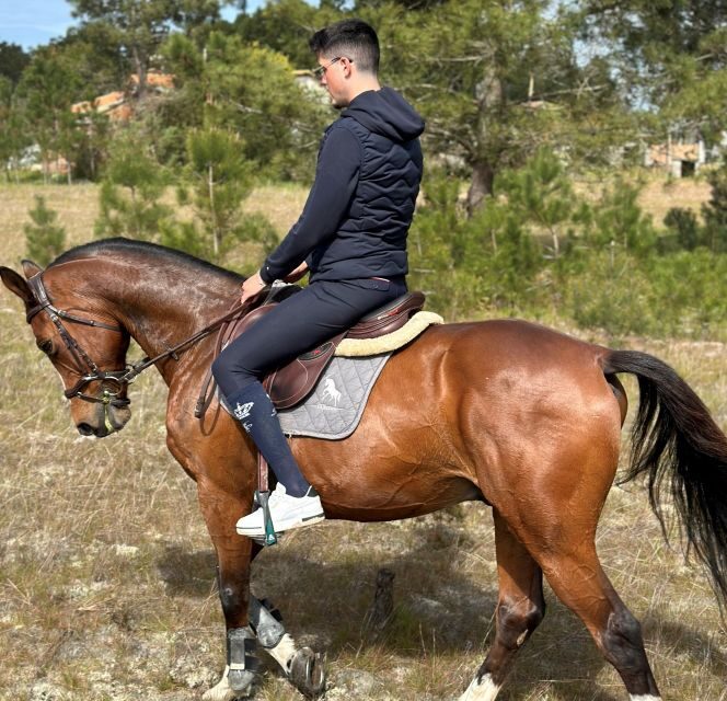 Aveiro: Horse Riding Experience with Instructor - Why Consider the Aveiro Horse Riding Experience?