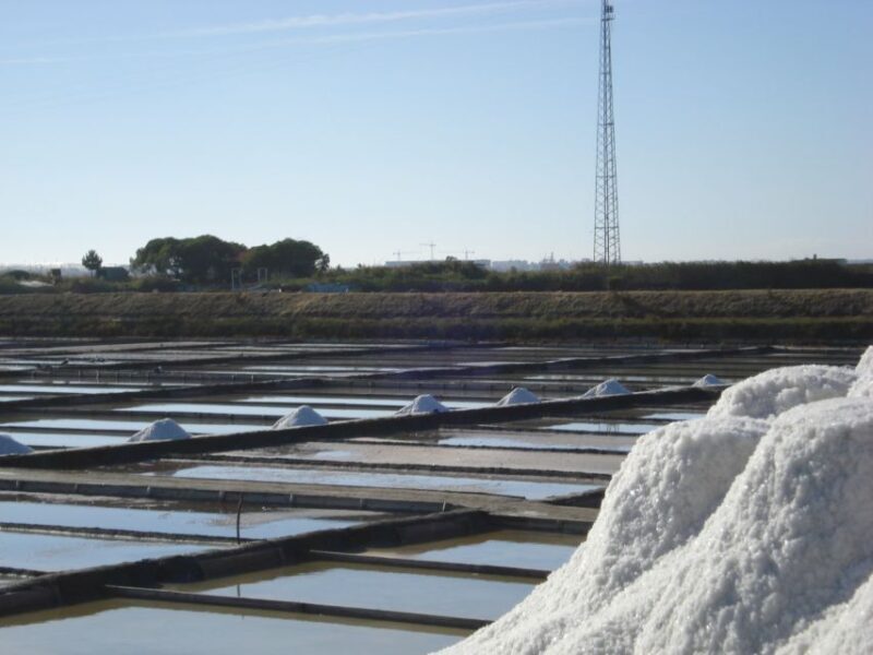 Aveiro: Walking Tour, Boat Cruise, Sweets & Church Entrance - Price and Value