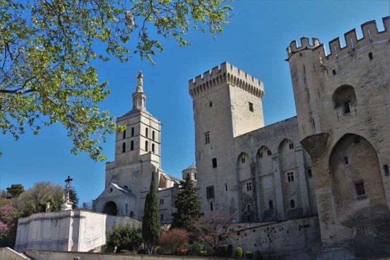 Avignon: Around The Palace Tour - Who Should Consider This Tour