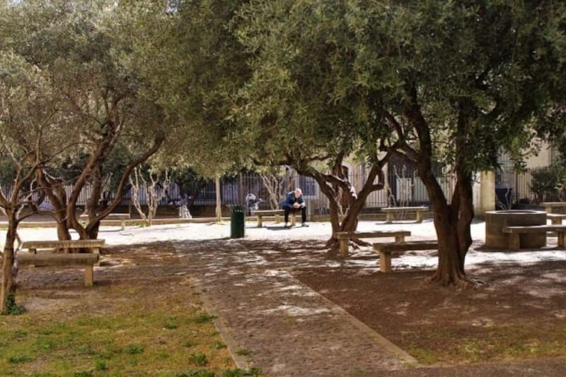 Avignon: Emblematic Squares Tour - What You Can Expect: A Walk through Avignon’s Heart