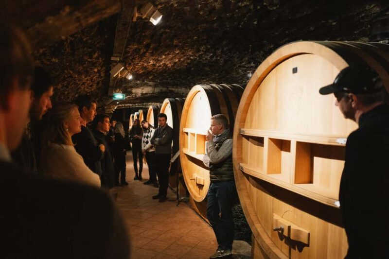 Avignon : Full day Truffles and Chateauneuf-du-Pape Wines - Key Points