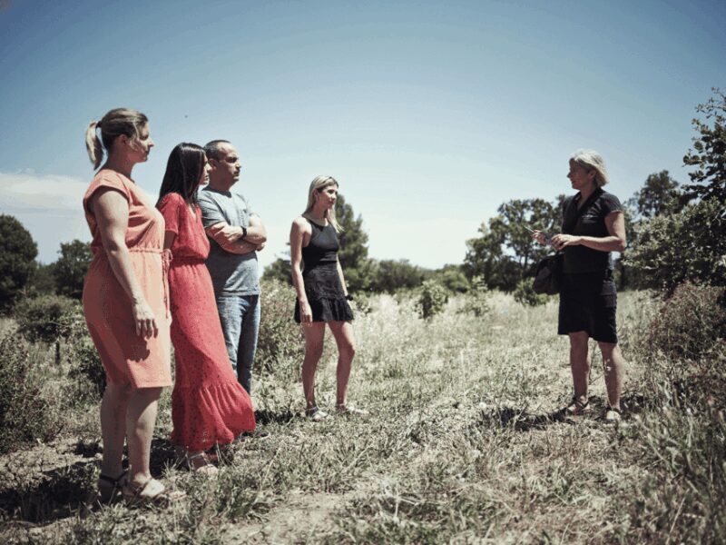 Avignon : Full day Truffles and Chateauneuf-du-Pape Wines - What You Can Expect from This Tour