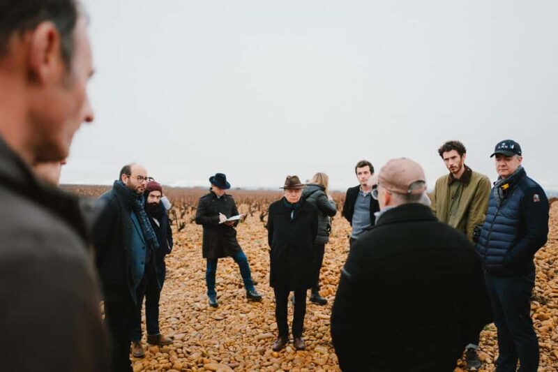 Avignon : Full day Truffles and Chateauneuf-du-Pape Wines - Who Should Consider This Tour?