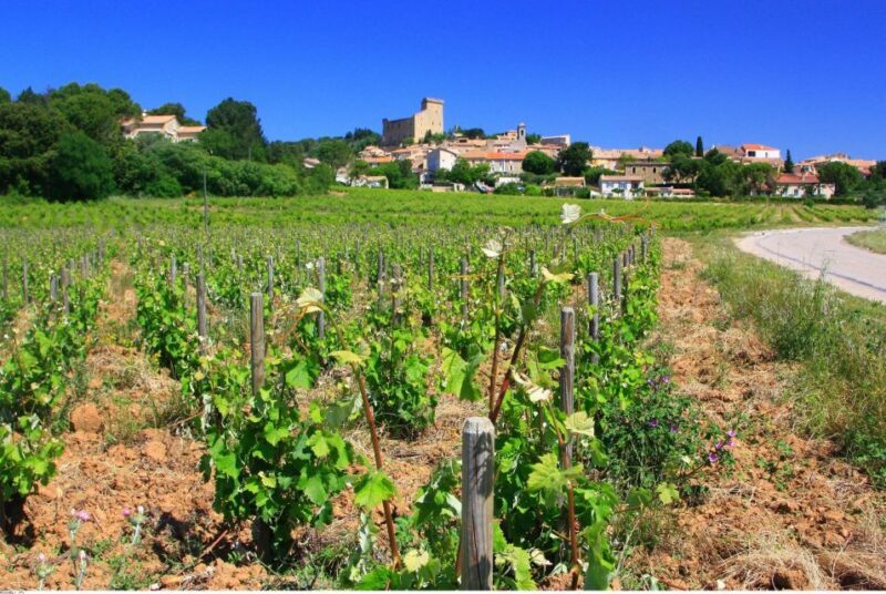 Avignon: Full-Day Wine Tour around Châteauneuf-du-Pape - Key Points