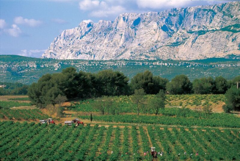 Avignon: Full-Day Wine Tour around Châteauneuf-du-Pape - FAQ