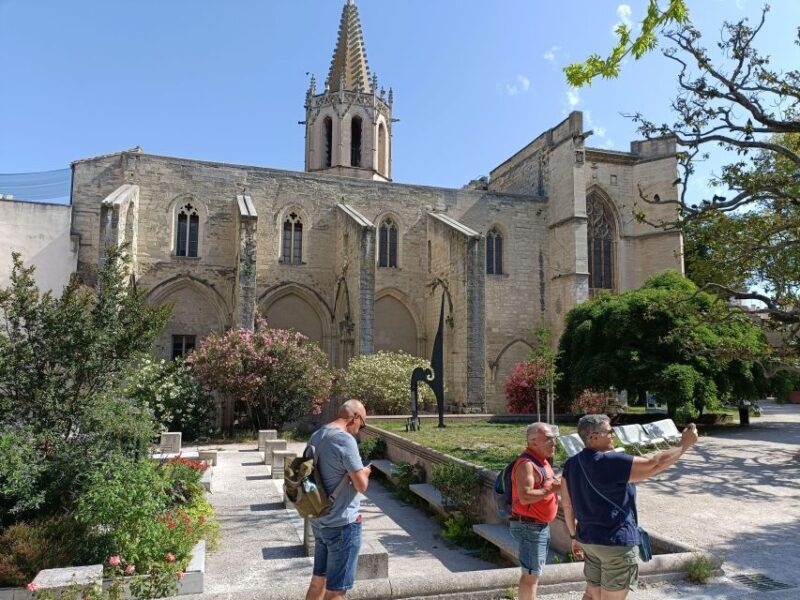 Avignon : Half-Day Walking Tour with Private Guide - The Value and Practical Considerations