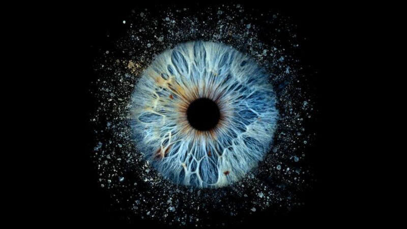 Avignon: Reveal the beauty of your iris with Iris Galerie - Price and Value