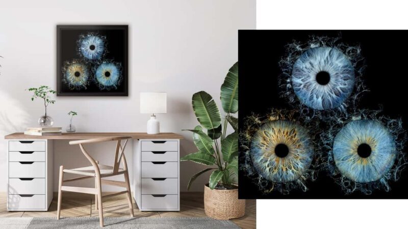 Avignon: Reveal the beauty of your iris with Iris Galerie - Final Thoughts