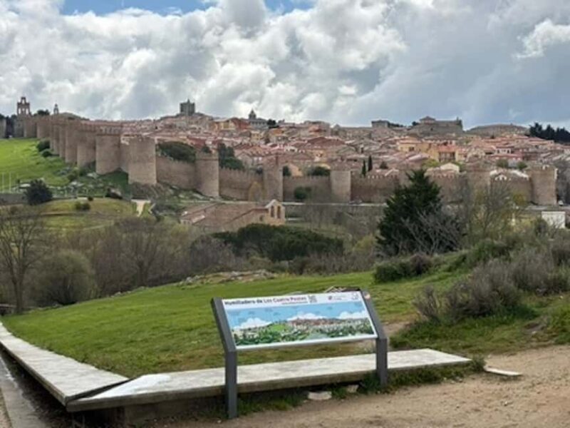Avila: Private Half-Day Minivan Tour from Madrid - Key Points
