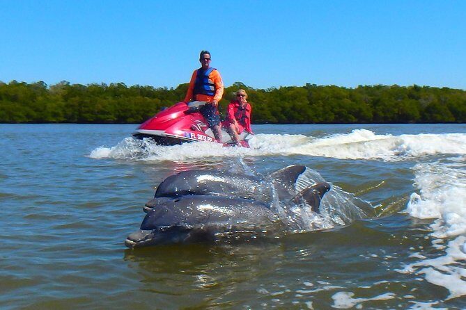 Avi's Premium Dolphin Tour by Jet Ski - Key Points