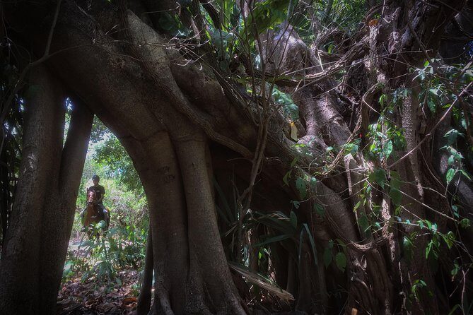 Award-winning Classic Horseback Ride (max. 6 riders) - Who Is This Tour Best For?