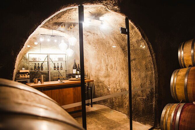 Award Winning Premium Wine Tour Queenstown Tasting at 4 Wineries - What Are the Downsides?