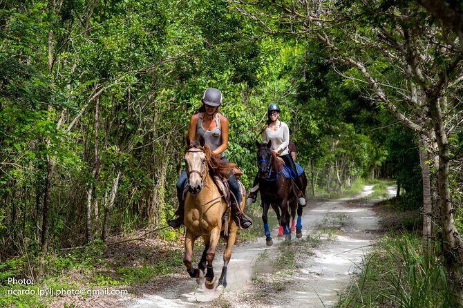 Award-winning Private Classic Horseback Ride - What You Can Expect from the Tour