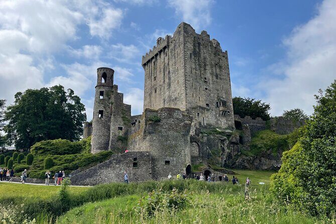 Award-Winning Private Tour of Blarney Castle, Kinsale and Cork - What Travelers Say