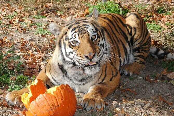 Awareness Tour - Key Points