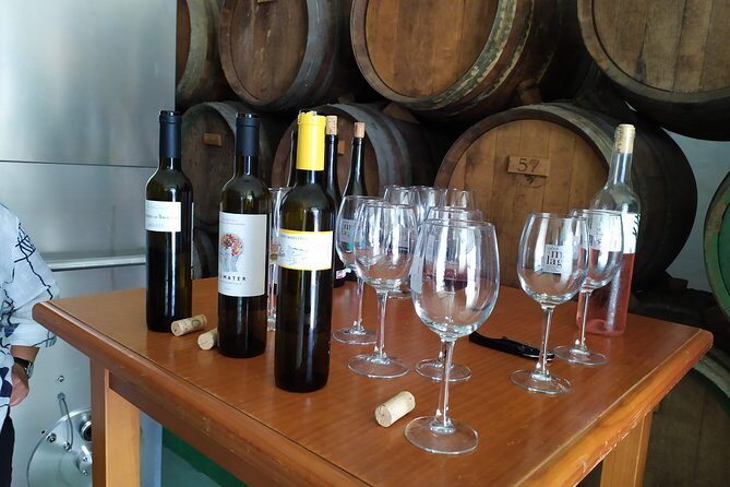 Axarquia VIP Wine Tour with Gourmet Winery Lunch Experience - Final Thoughts: Who Should Consider This Tour?